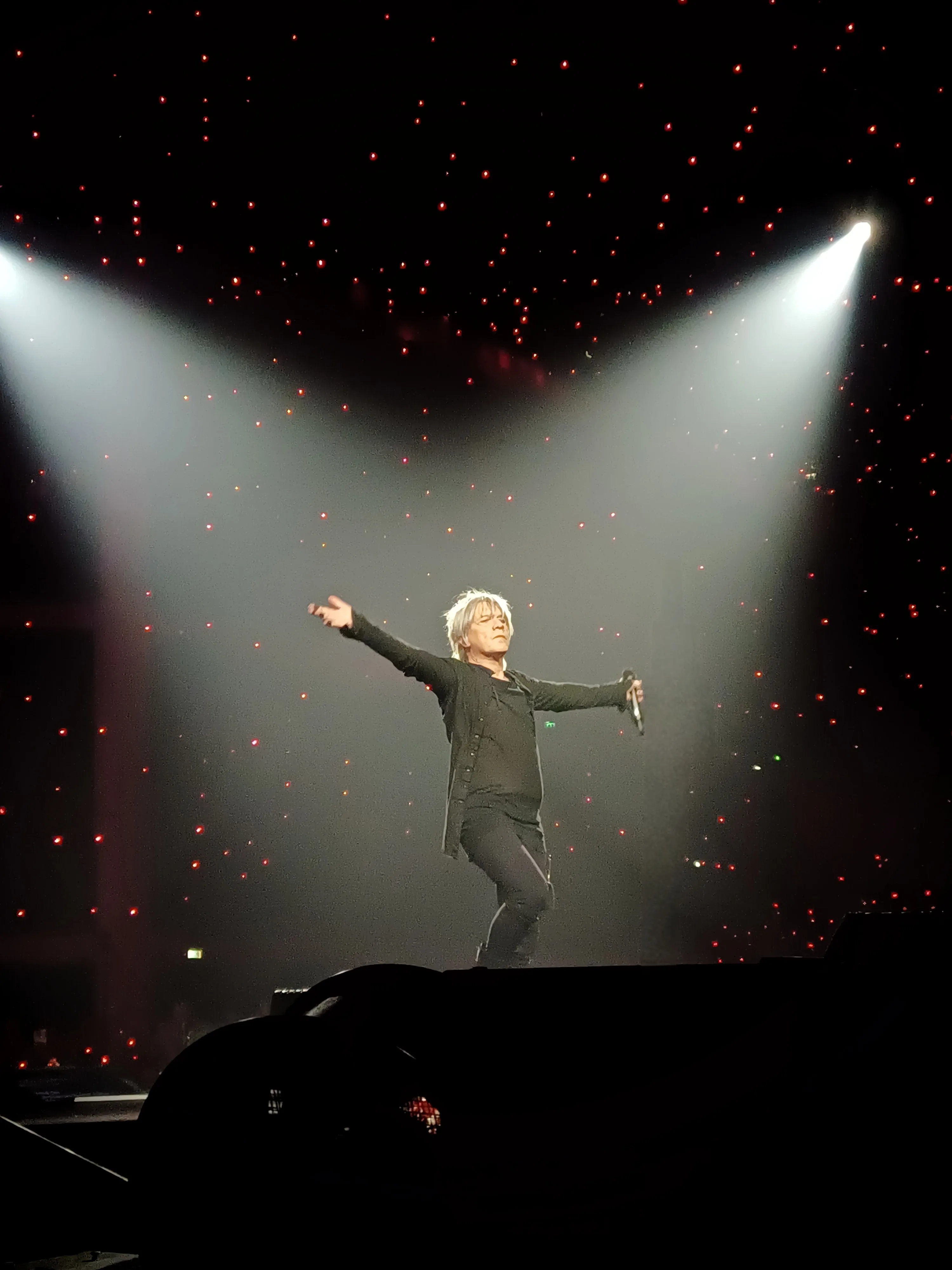 Nicola Sirkis, chanteur d'Indochine, sur scène lors d'un concert