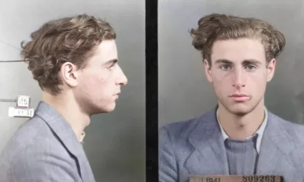 Premiers résistants, seuls contre tous sur France 5 : ceux qui ont dit non dès l’été 1940