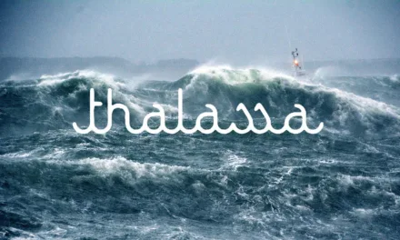 Thalassa sur France 5 : Diego Buñuel part à la chasse aux records de vitesse sur les océans