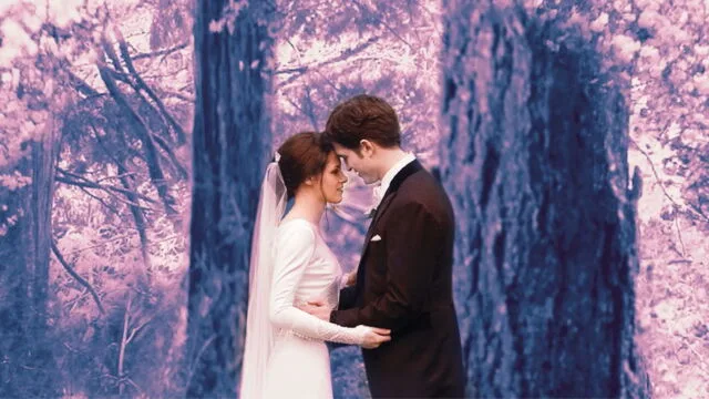 Twilight, chapitre 4 : Révélation (1re partie) sur TMC : le mariage de Bella et Edward ouvre le dénouement de la saga ce mercredi