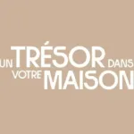 Un trésor dans votre maison sur 6ter : une boîte en porcelaine passée à la loupe du commissaire-priseur