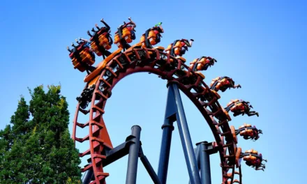 Walibi sur RMC Story : la course à la technologie derrière les attractions à sensations