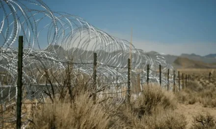 Zone 51 sur RMC Story : enquête sur la base la plus secrète du monde, entre réalité et légende
